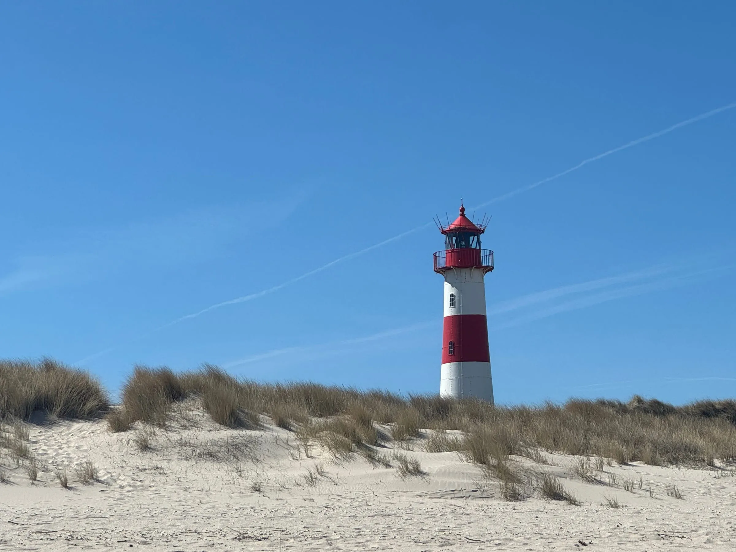 Sonnenuntergang über dem Meer, eine Möwe fliegt am Himmel
