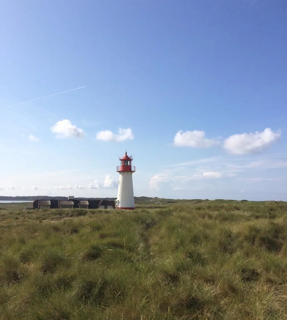 Grasbewachsene Düne unter weitem blauem Himmel