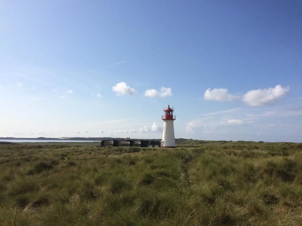 Grasbewachsene Düne unter blauem Himmel